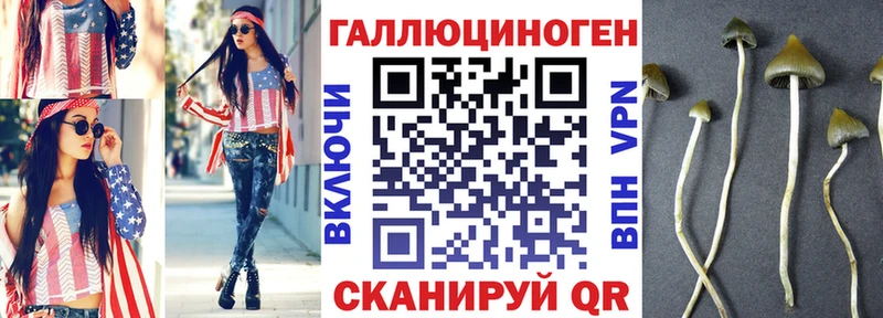 Купить  Новоаннинский  Псилоцибиновые грибы MAGIC MUSHROOMS 